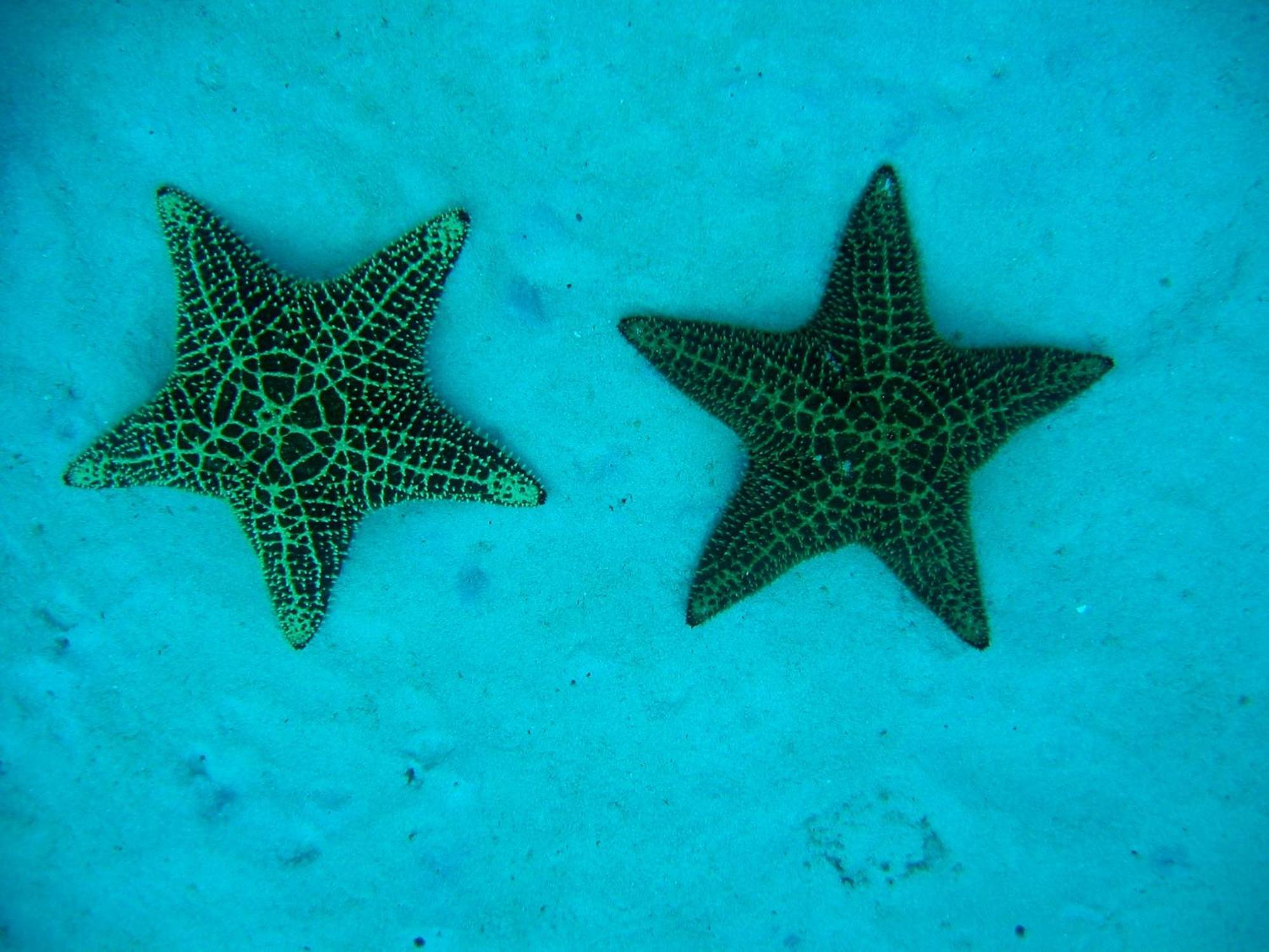 B&B Villa Luna Bayahibe Eksteriør bilde
