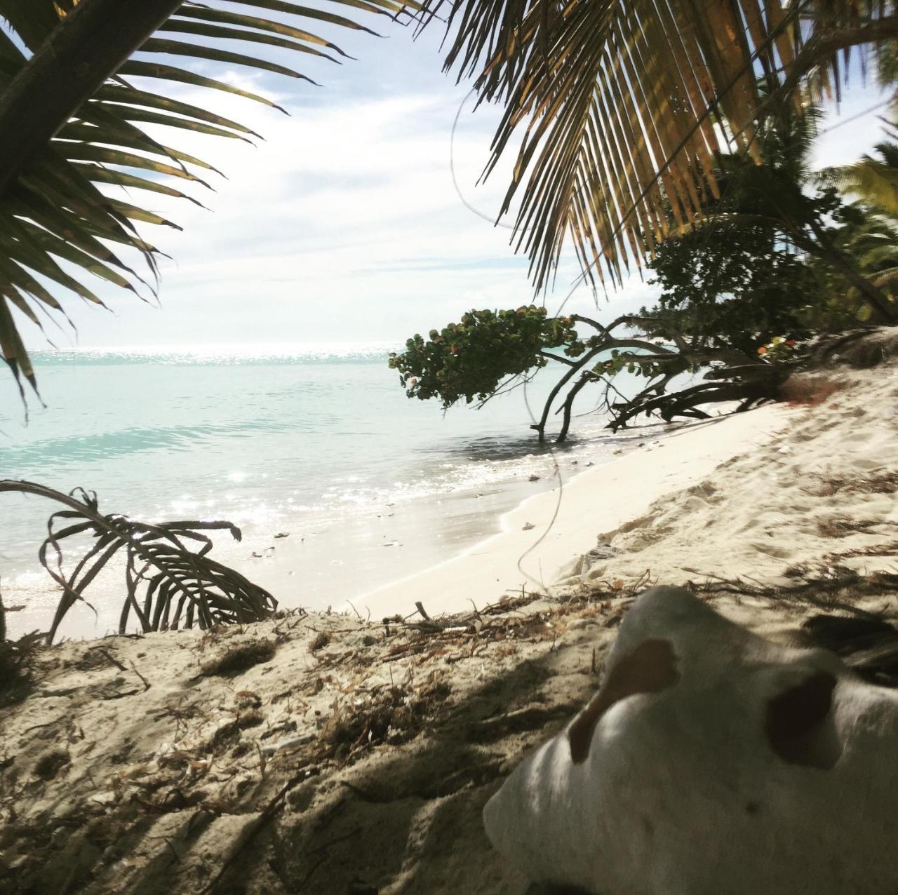 B&B Villa Luna Bayahibe Eksteriør bilde